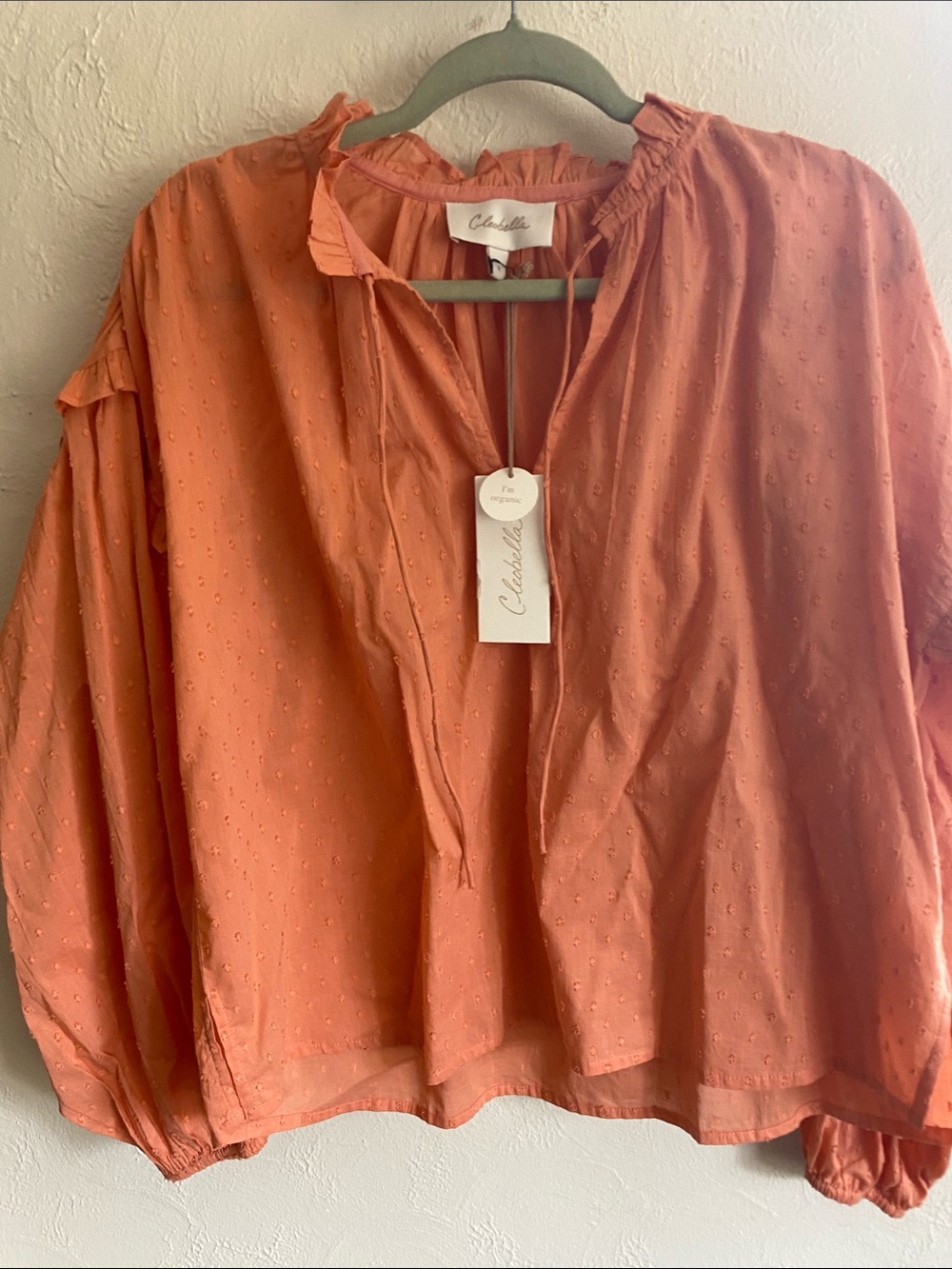 Cleobella Burnt Orange Swiss Dot Peasant Blouse